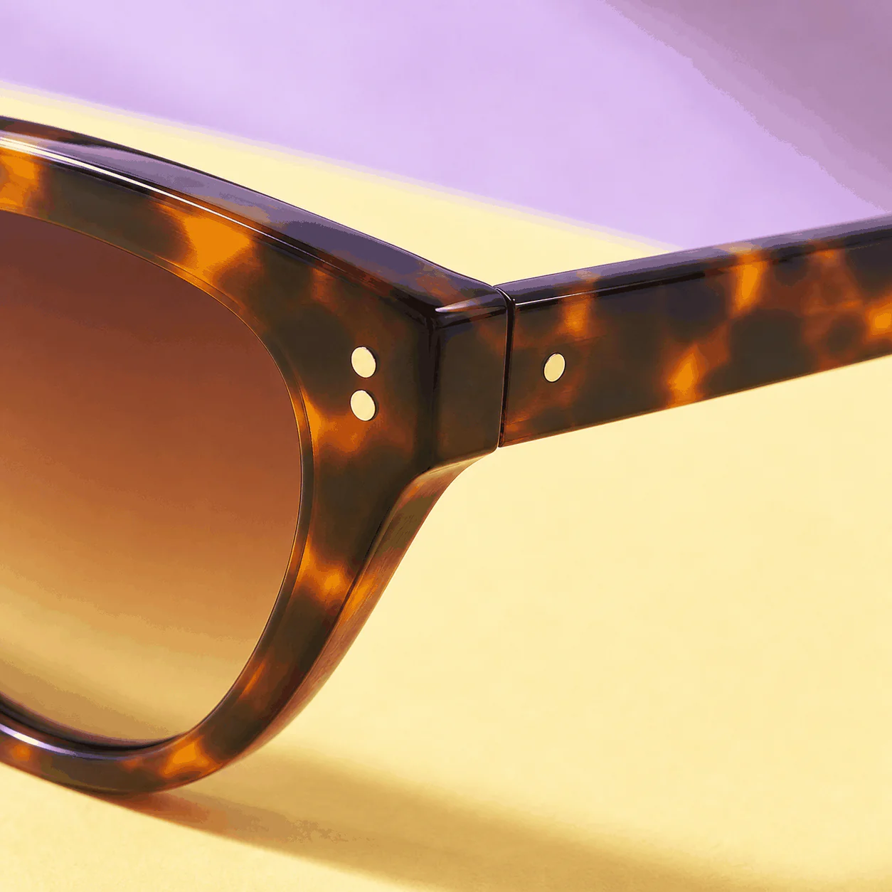 Marseille Cat Eye Sunglasses - Tortoise lifestyle view